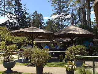 Media_httpa4voxcom6a0_eipio